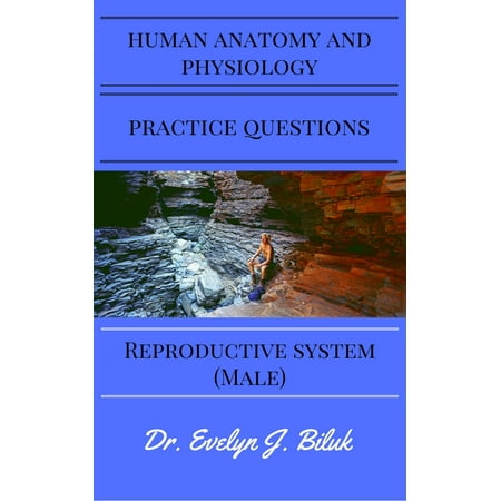 Human Anatomy and Physiology Practice Questions: Reproductive System (Male) - (Best Human Physiology Textbook)