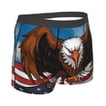 thumbnail image 2 of KLL Cartoon Bald Eagle USA Men's Cotton Boxer Briefs Underwear-XX-Large, 2 of 8