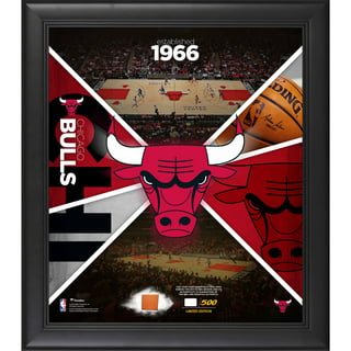 Lids Lonzo Ball Chicago Bulls Fanatics Authentic Framed 15 x 17 Stitched  Stars Collage