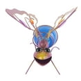 thumbnail image 3 of Décoration d'Apparence Volante Suspendue Extérieure Insecte Suspendu Lumière LED Luciole, 3 of 12