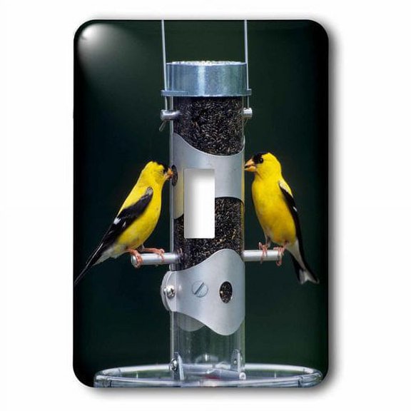 3dRose, American Goldfinches males at tube feeder, Marion County, Illinois, single toggle switch