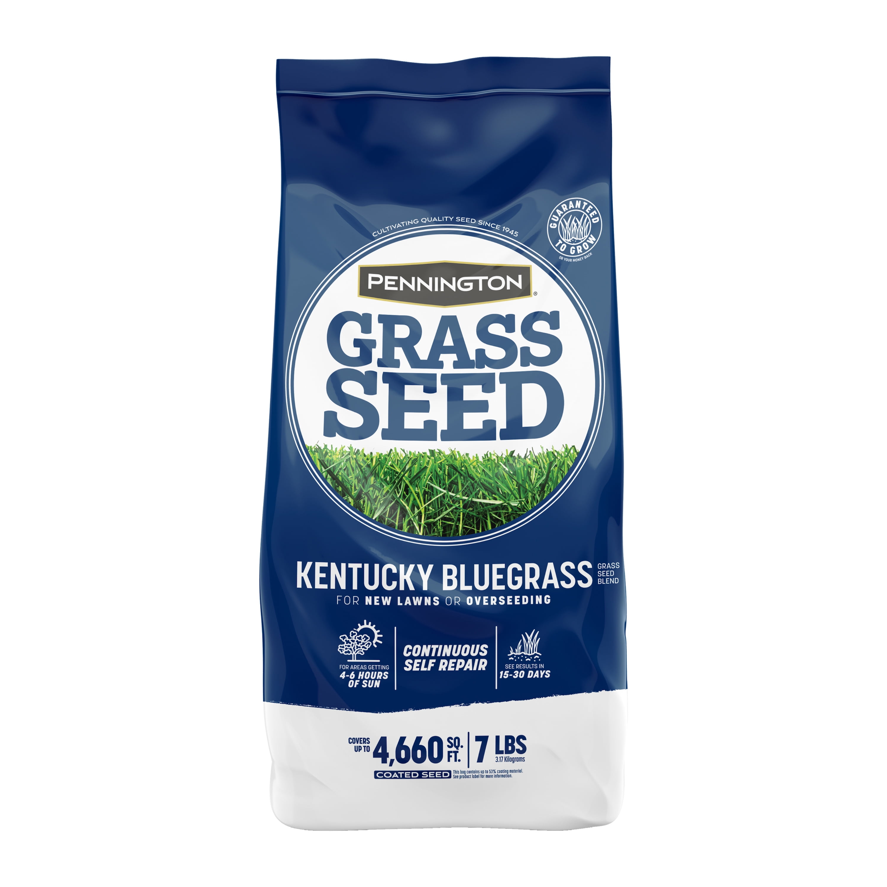 Pennington Kentucky Bluegrass Grass Seed Blend for Northern Lawns; 7 lb