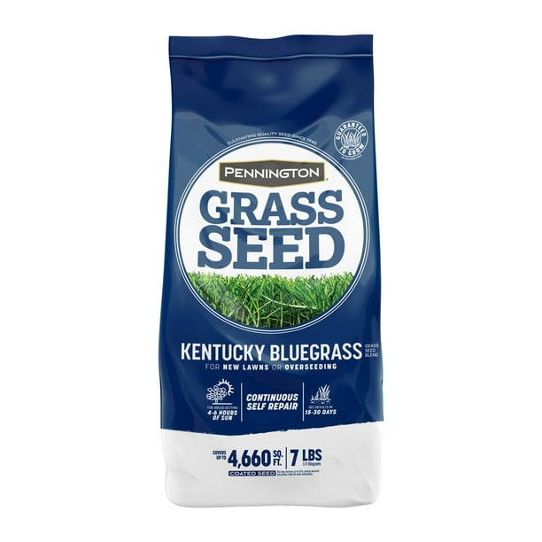 Pennington Kentucky Bluegrass Northern Grass Seed Mix, for Sun to