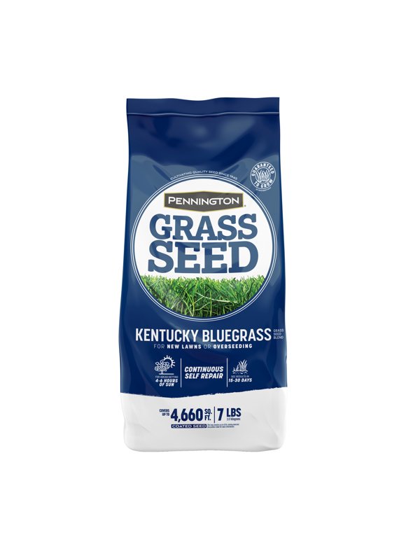 Kentucky Bluegrass Seed in Grass Seed & Sod