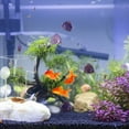 thumbnail image 4 of Acrylic Aquarium Fish Feeder Tube and Dish Set with Suction Cups,Clear Fish Feeding Station for Shrimp,Turtles,and Tropical Fish, 4 of 5