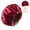 2 Dusty Pink, variant on 2-Pack Adjustable Satin Bonnet for Women, Double-Layer Sleep Cap & Shower Hat