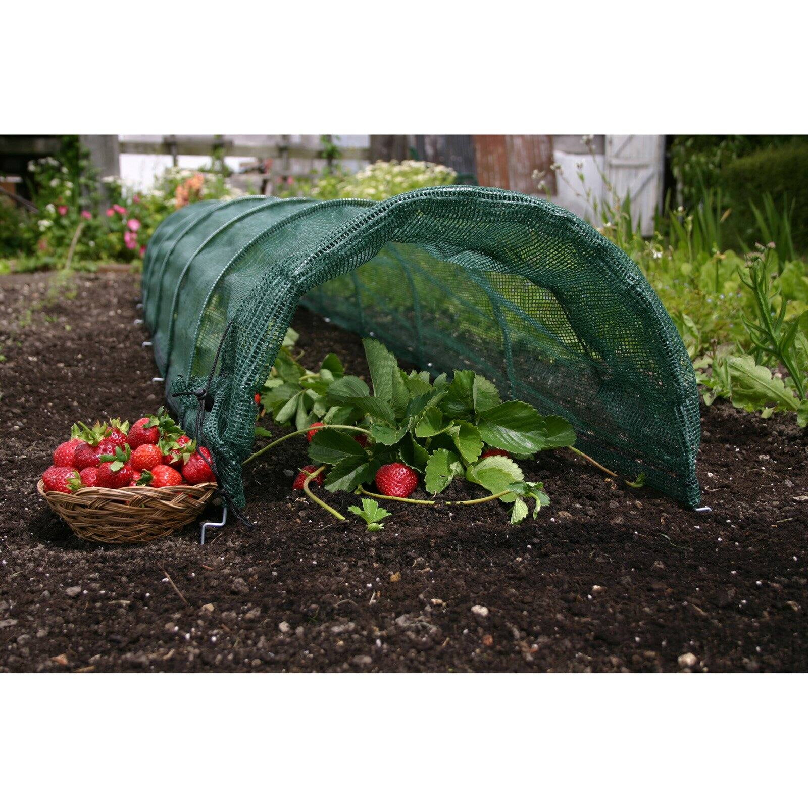 NEW 300x45x45cm Robust Netting NET GROW TUNNEL Suitable for herbs and vegetable 