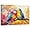 Colorful Birds on Branch Picture, variant on ZHONGYUTONG Blue Bird Wall Art Canvas Bird Pictures Wall Decor White and Blue Sparrow Painting for Bathroom Bedroom Decor Framed (12.00" x 18.00")
