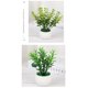 thumbnail image 5 of Nvzi 3 plantas artificiales en maceta, pequeñas plantas falsas en maceta, miniplantas artificiales de escritorio para interior, granja, oficina, mesa, estante, decoración de baño (A11), 5 of 5