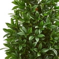 thumbnail image 2 of Nearly Natural 9103 4 in. Bay Leaf Artificial Topiary Tree, 2 of 3