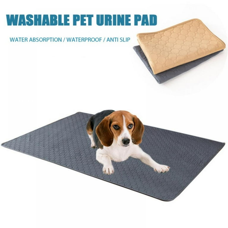 Walmart dog potty pads cheap