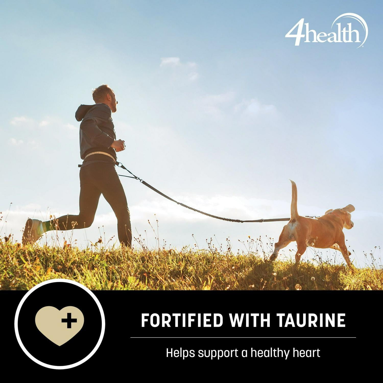 4health dog food walmart