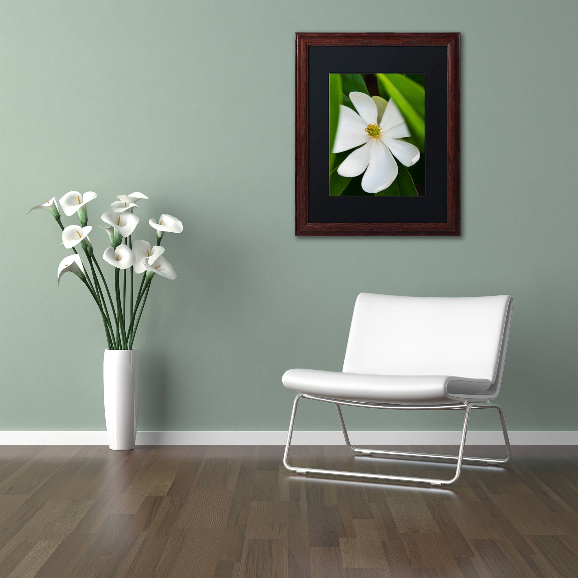 Trademark Fine Art "White Magnolia Flower" Canvas Art by Kurt Shaffer, Black Matte, Wood Frame