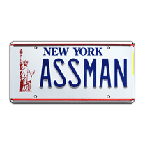Seinfeld | Cosmo Kramer's Impala | ASSMAN | Metal Stamped Replica Prop License Plate