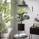 thumbnail image 3 of Soporte de Metal para Plantas Decoración de Jardines, Jardines, Ingeniería Un negro, 3 of 9