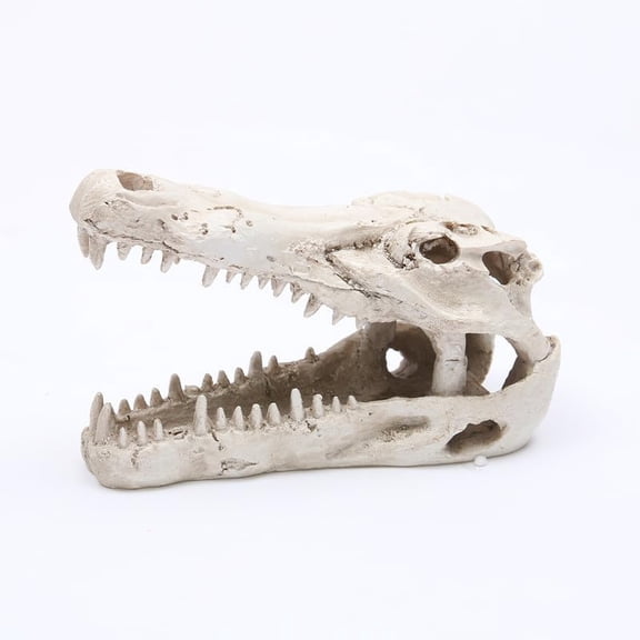 Crocodile Skull Aquarium Ornament, Realistic Resin Reptile Skull Decor, Safe for Saltwater Freshwater Tanks, Animal Skulls for Swamp-Themed Habitats and Terrariums