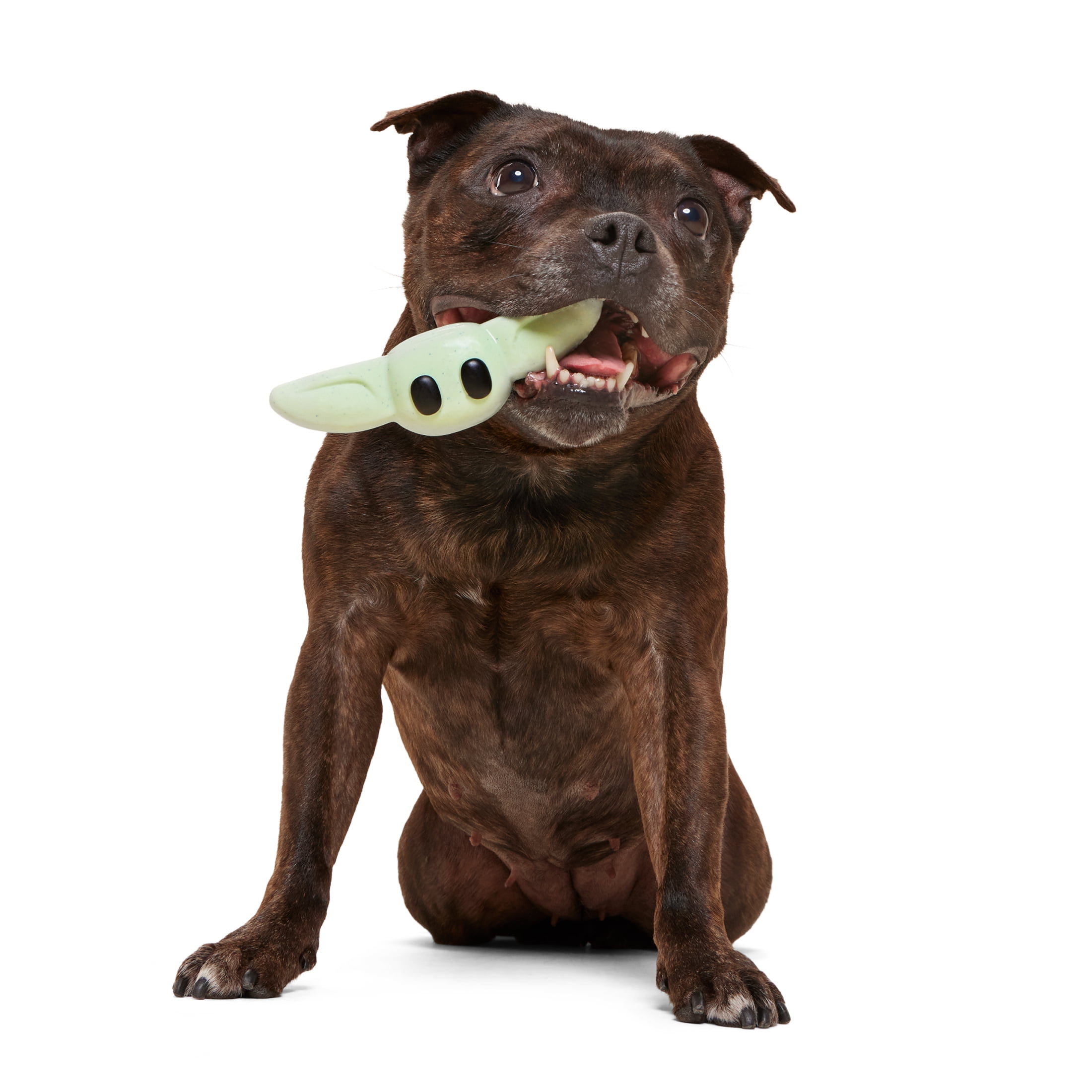 SC Grogu Interactive Durable Dog Toy for Small Dogs