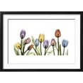 thumbnail image 2 of Tulipscape Portrait, Botanical Framed Art Print Wall Art by Albert Koetsier Sold by Art.Com, 2 of 6