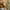 Xmas-D01016, variant on SAYFUT Studio Photo Video Photography Backdrops Vinyl Fabric Christmas Holiday Party Decorations Background Screen Props 3x5ft 30+ Colors