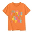 thumbnail image 2 of Delliss Summer Birthday Day Graphic Cotton Tops Girls Short Sleeve T-Shirt Casual Top Tees Kids, 2 of 6