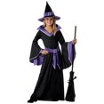 thumbnail image 1 of Child Glamour Witch Costume, 1 of 1