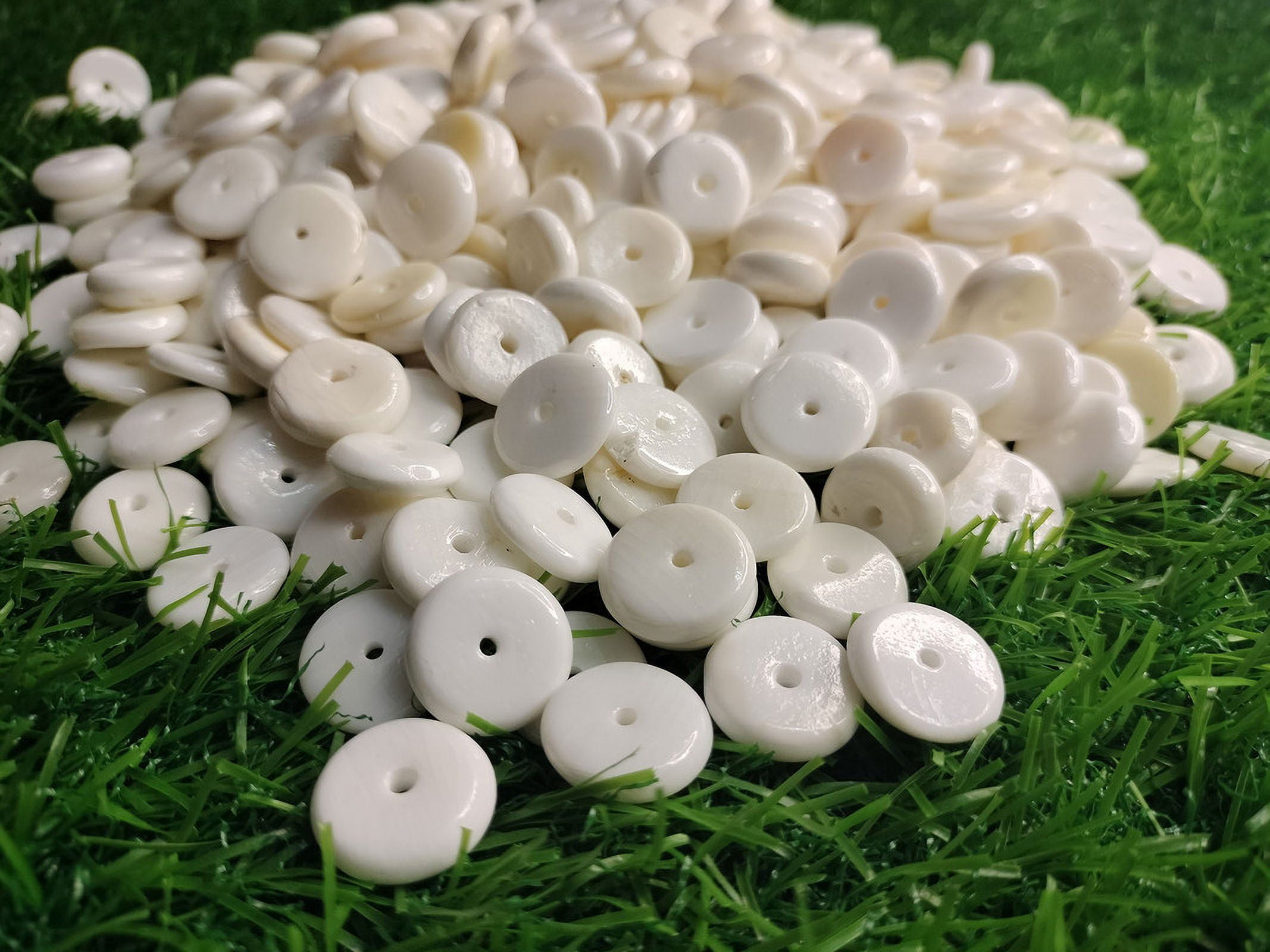 St. John's Exim Sea Shells Buttons 15mm to 16mm (1 kg Minimum 450 Pieces Above) 2.2 lbs, White
