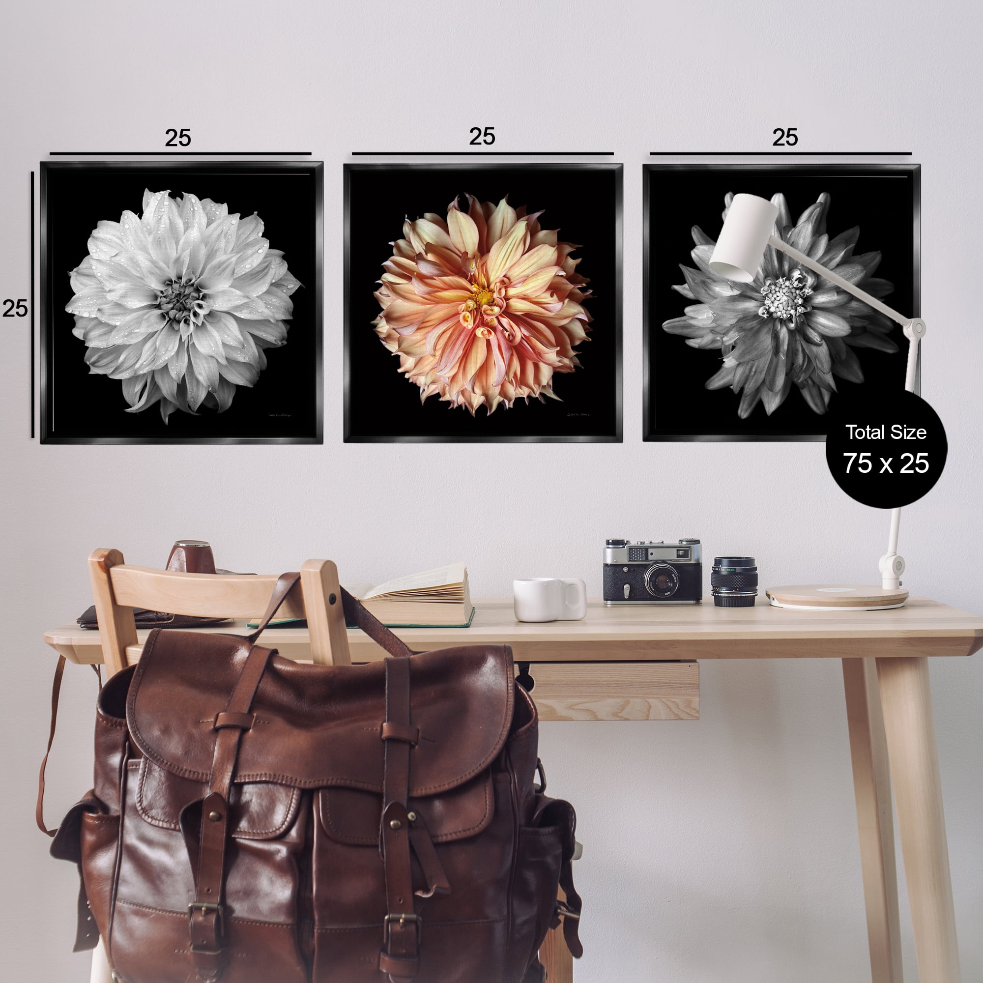 Stupell Industries Detailed Dahlia Photography Plants & Flowers Photography Black Floater Framed Canvas Art Print Wall Art, 25 x 25, Set of 3