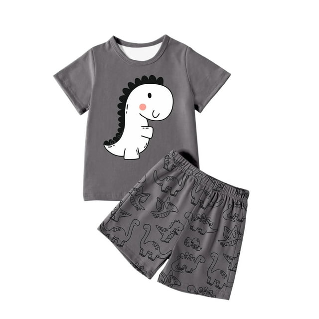 Ensemble pour Garçon, Tenue d'Été, T-Shirt Dinosaure à Col Rond, Ensemble de Shorts Décontractés, Shorts Garçon 5T