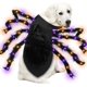 thumbnail image 1 of 24 Led Spider Dog Disfraz De Halloween Para Perros Pequeños Medianos Grandes, Peluda Araña Gigante Con Naranja Púrpura Luces Cachorro Mascota Disfraz Trajes Ropa Divertida kaili Sencillez, 1 of 5