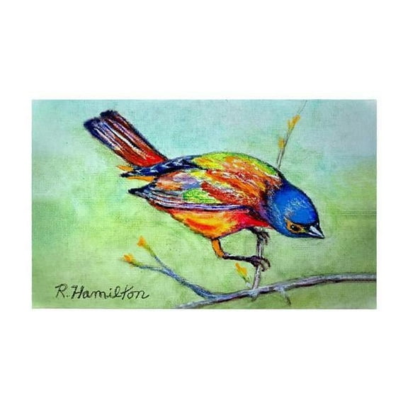 Betsy Drake DM1180G 30 x 50 in. Painted Bunting Door Mat