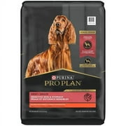 30 lb Focus Sensitive Skin and Stomach Salmon and Rice Formula Adult Dog Food