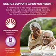 Geritol Liquid Energy Support High Potency B-Vitamins & Iron 12 oz, 3-Pack