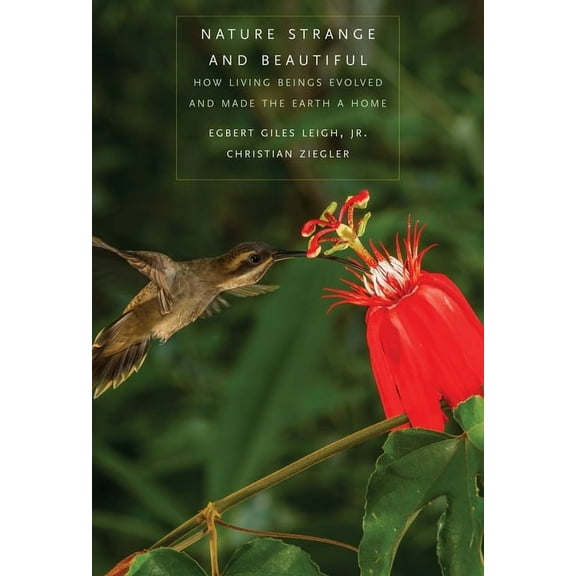 Nature Strange and Beautiful : How Living Beings Evolved and Made the Earth a Home (Hardcover)