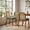 Green, variant on Mid Century Modern Rattan Dining Chairs Set of 2, Upholstered Dining Chairs with Woven Cane Back, Solid Wood Kitchen & Dining Room Side Chairs, Farmhouse Accent Chairs, Walnut Finish, Beige