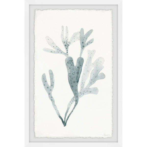 Parvez Taj Printed Animals & Insects Framed Art Prints