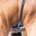 thumbnail image 6 of Equinavia Saga Adjustable Leather Standing Martingale with Stainless Steel Hardware, 6 of 7