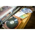 thumbnail image 6 of 50 Master Sleeves Rice Paper Anti Static LP Inner Sleeves Mobile Fidelity MFSL Style Vinyl Record Sleeves Provide Your LP Collection with the Proper Protection - Invest In Vinyl, 6 of 7