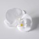 thumbnail image 1 of Nvzi 20 piezas de flores de mariposa artificiales de seda para decoración de bodas, ramos y fiestas, 3,54 pulgadas, color blanco, 1 of 5