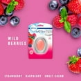 Febreze Small Spaces Air Freshener Berry & Bramble, .25 fl. oz., Pack