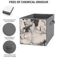 thumbnail image 3 of Set of 6 Collapsible Oxford Fabric Storage Cubes with Handles, Foldable Closet Organizer Bins for Clothes, Toys, Shelves, Home & Kitchen Mythic Winged Warrior, 3 of 7