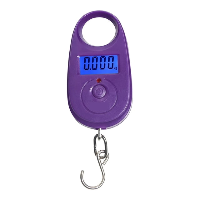 25Kg/5g Mini Digital Scale Electronic Fishing Weight Luggage Scales Hanging Mini Weighing Scale ,Multiple Functions