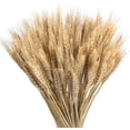 thumbnail image 1 of Bienvenido Trigo seco Decoración de trigo seco natural Ramo de trigo Flores secas de trigo Centro de mesa de boda Decoración de jarrón para mesa de fiesta en balcón familiar, 1 of 5