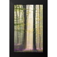 thumbnail image 2 of VLAICU, Denisa 10x14 Black Modern Framed Museum Art Print Titled - Misty sunrise in Hallerbos, 2 of 5