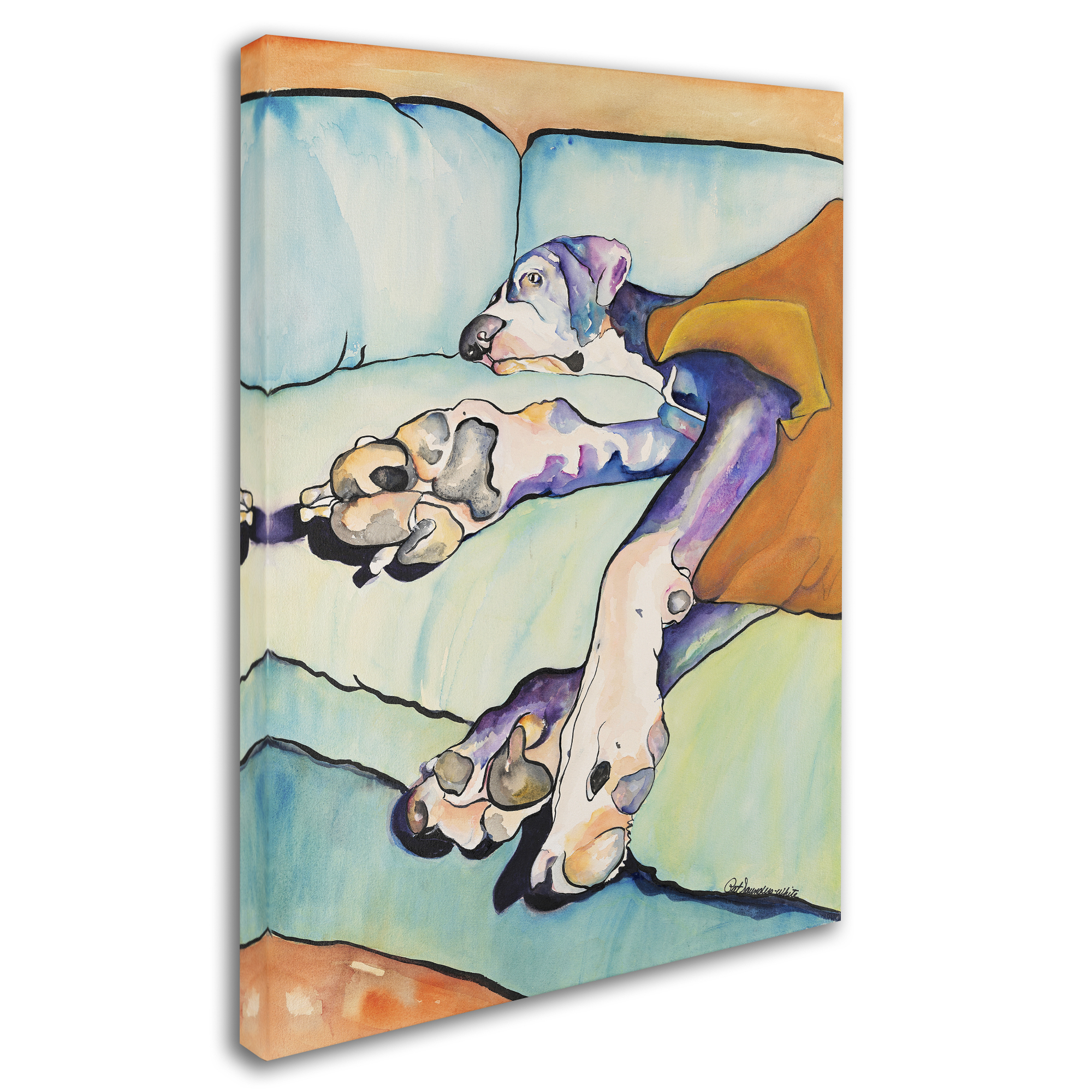Trademark Fine Art "Sweet Sleep II" Canvas Art by Pat Saunders-White