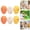 B, variant on LGHDIWN 6-Piece Creative Broken Easter Egg Hanging Decor - Multicolor 3D Plastic Egg Ornaments for Festive Scene Arrangement and Spring Home Wall or Ceiling Decoration