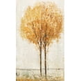 thumbnail image 2 of OToole, Tim 12x18 Gold Ornate Wood Framed with Double Matting Museum Art Print Titled - Falling Leaves I, 2 of 4