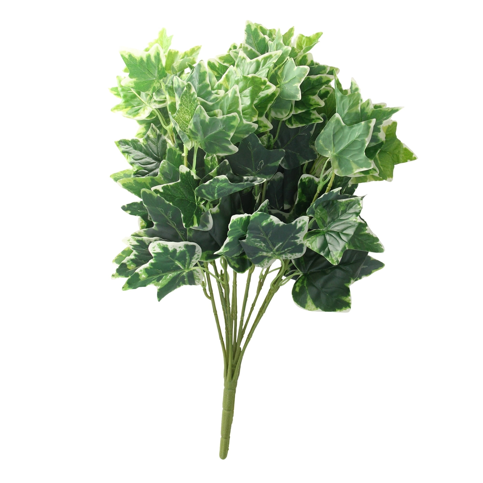 19" Green and White Two Toned Artificial Sweet Potato Spring Floral Bush