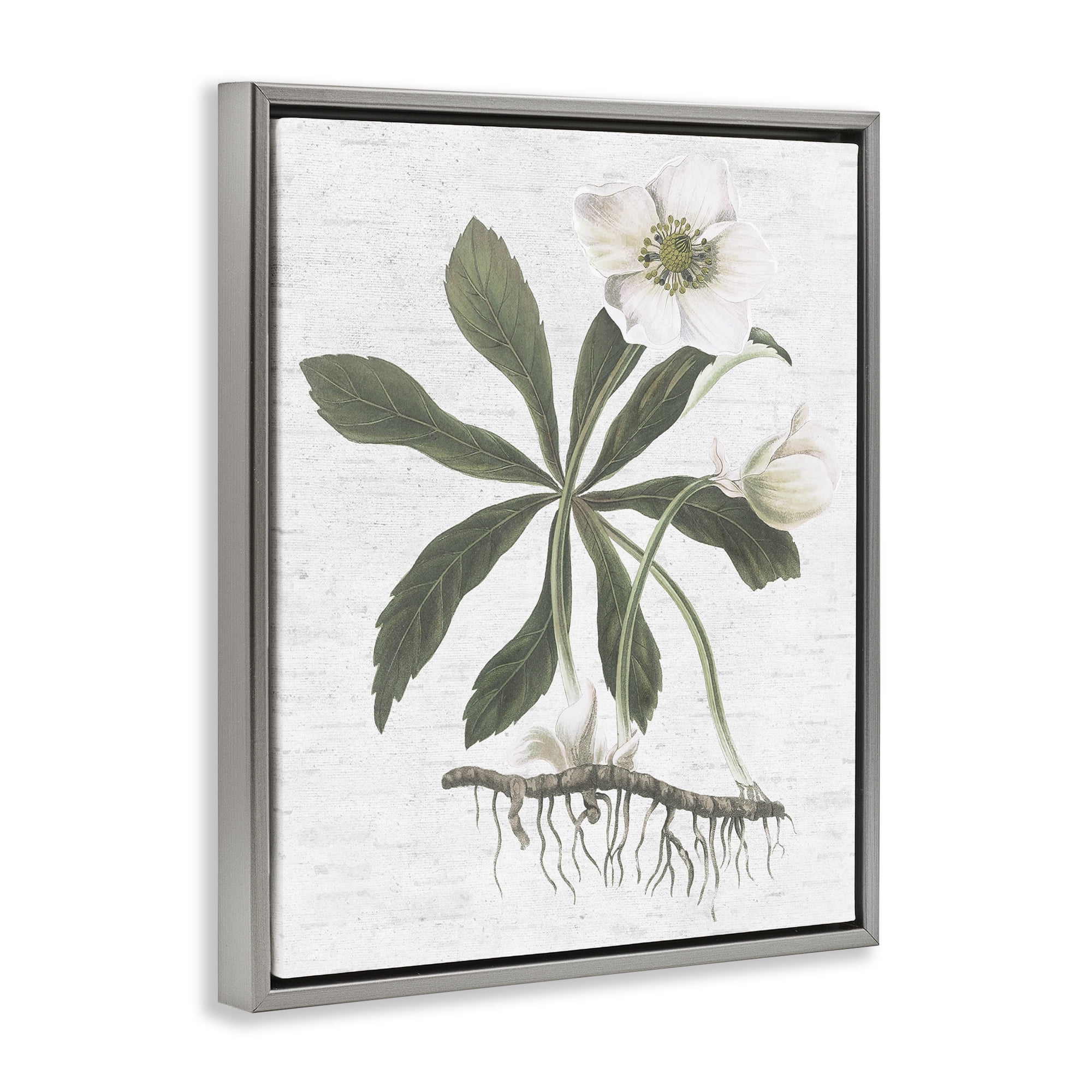 Stupell Industries Magnolia Flower Study Botanical & Floral Painting Gray Floater Framed Art Print Wall Art, 25 x 31