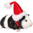 thumbnail image 1 of HTOOQ Pet Christmas hat Santa Claus Cap Head Accessories for Rabbit Hamster Guinea Pig Rats Kitten Kitty and Small Animals, 1 of 7