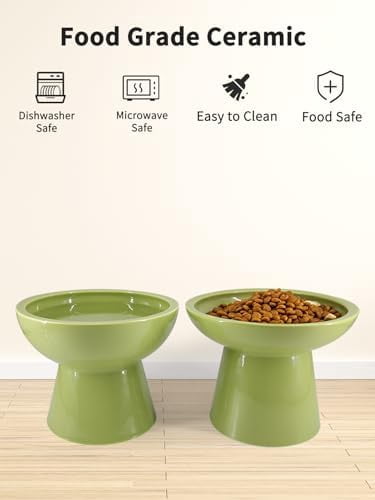 Elevated Green Cat Bowls Set - Wide Raised Ceramic Feeder, Anti-Vomit Whisker-Free Bowl for Kittens to Adult Cats